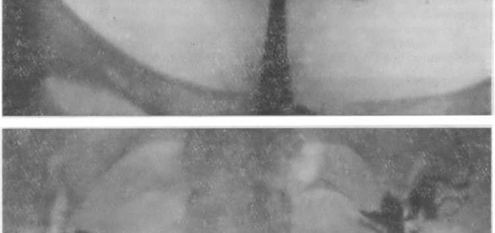 Тестовая картинка