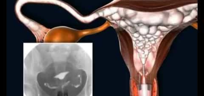 Тестовая картинка